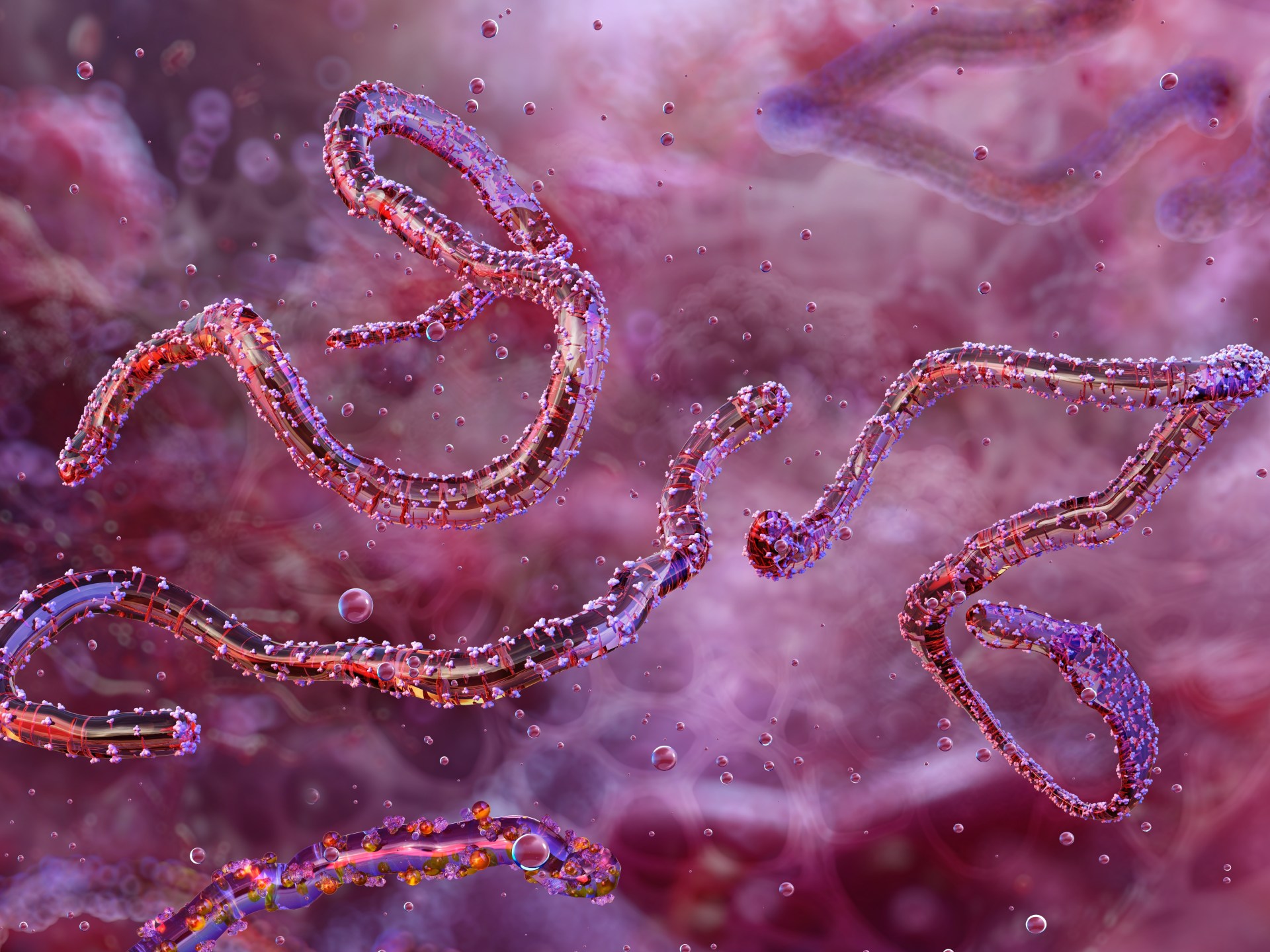 Ethiopia confirms first outbreak of Marburg virus  - Trinidad Tribune – Latest Trinidad And Tobago News